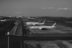 旅の始まり...