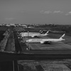 旅の始まり...