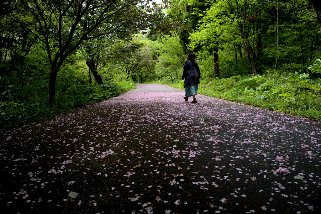 八重桜ロード