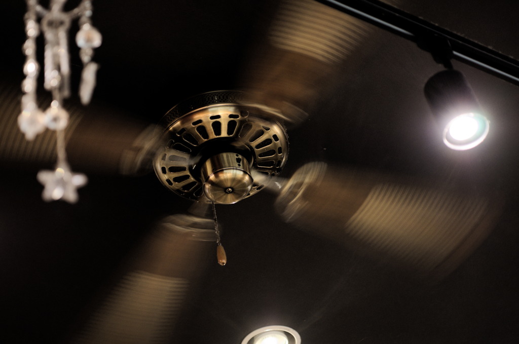 Fan