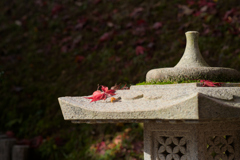 秋の終わりに...