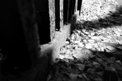 枯れ落ちても主役