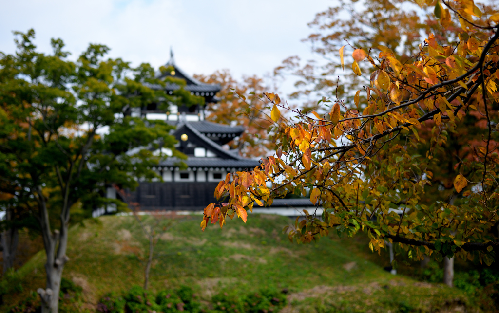 城