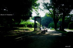 Bench & Telephone