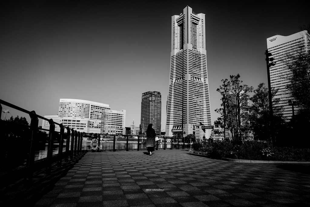 YOKOHAMA WALK