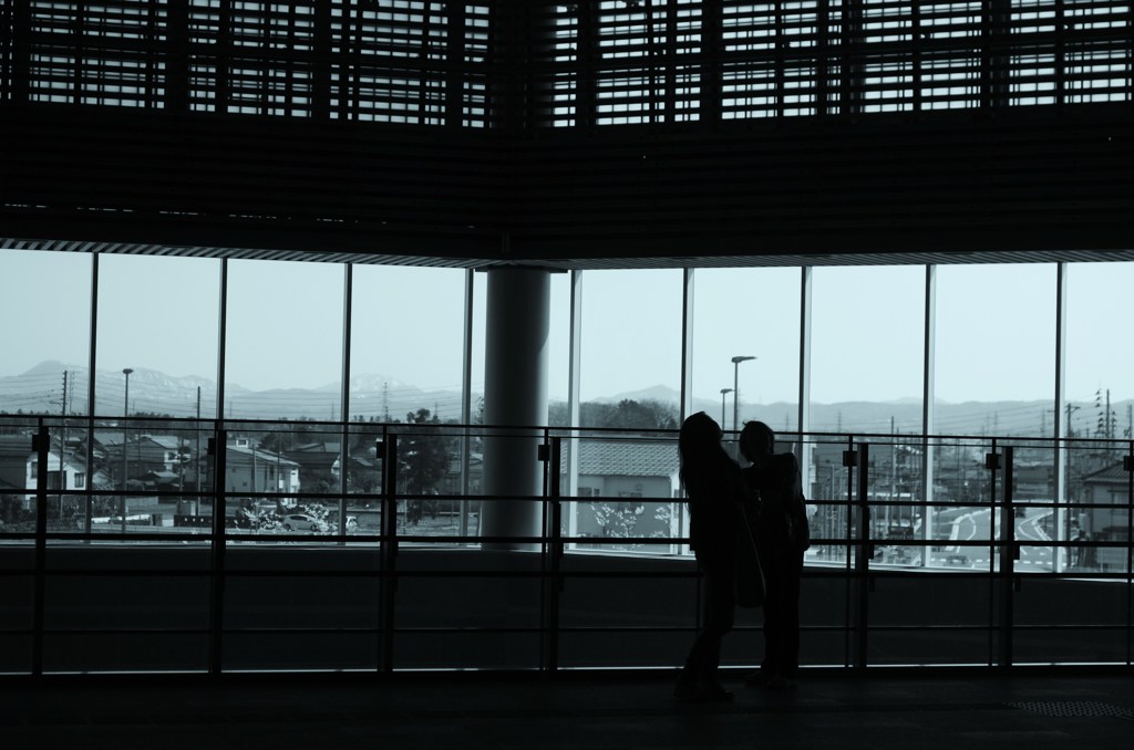 見上げてごらん