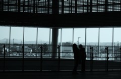 見上げてごらん