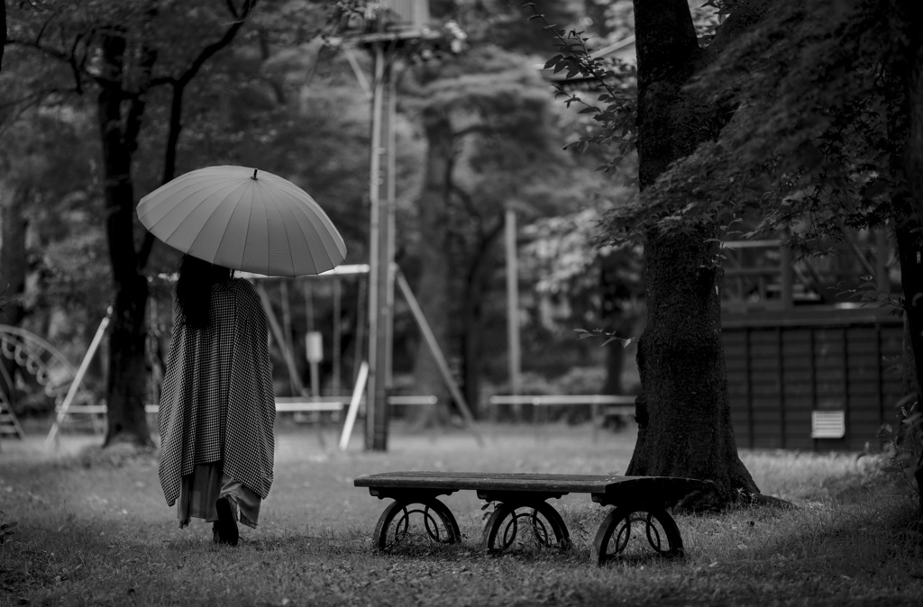 雨の公園