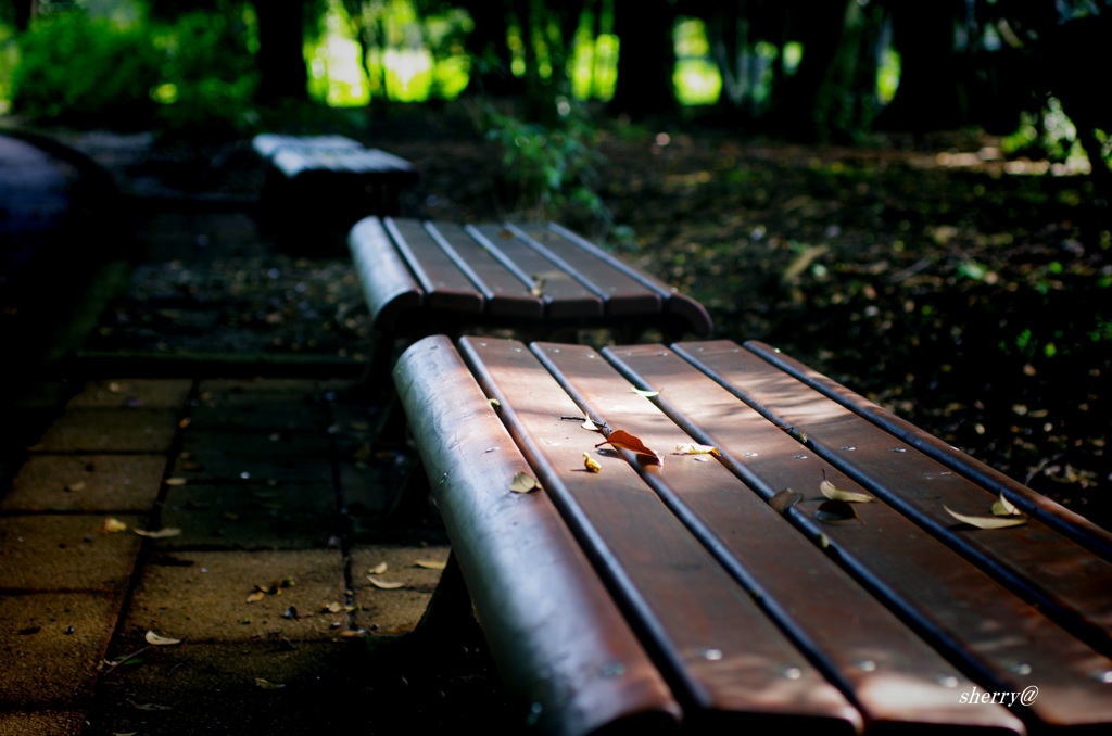 Bench
