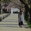見上げてみれば…