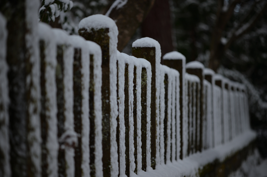 雪模様