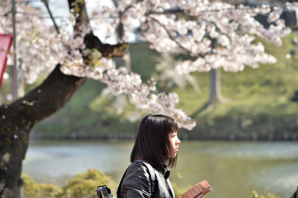 見つめる先に…