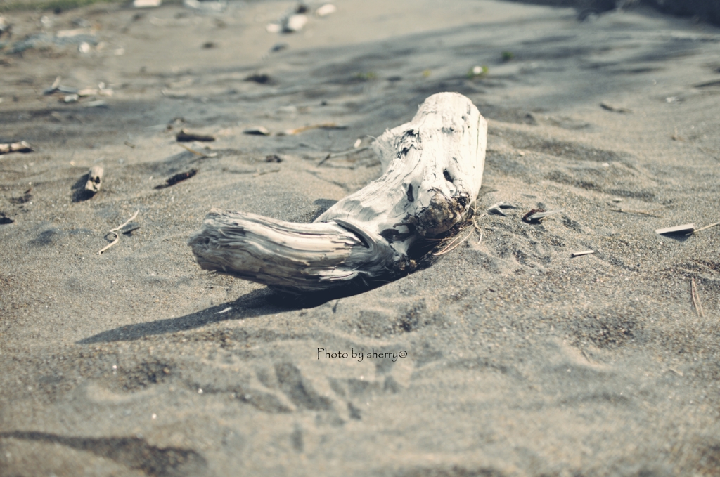 流されて…