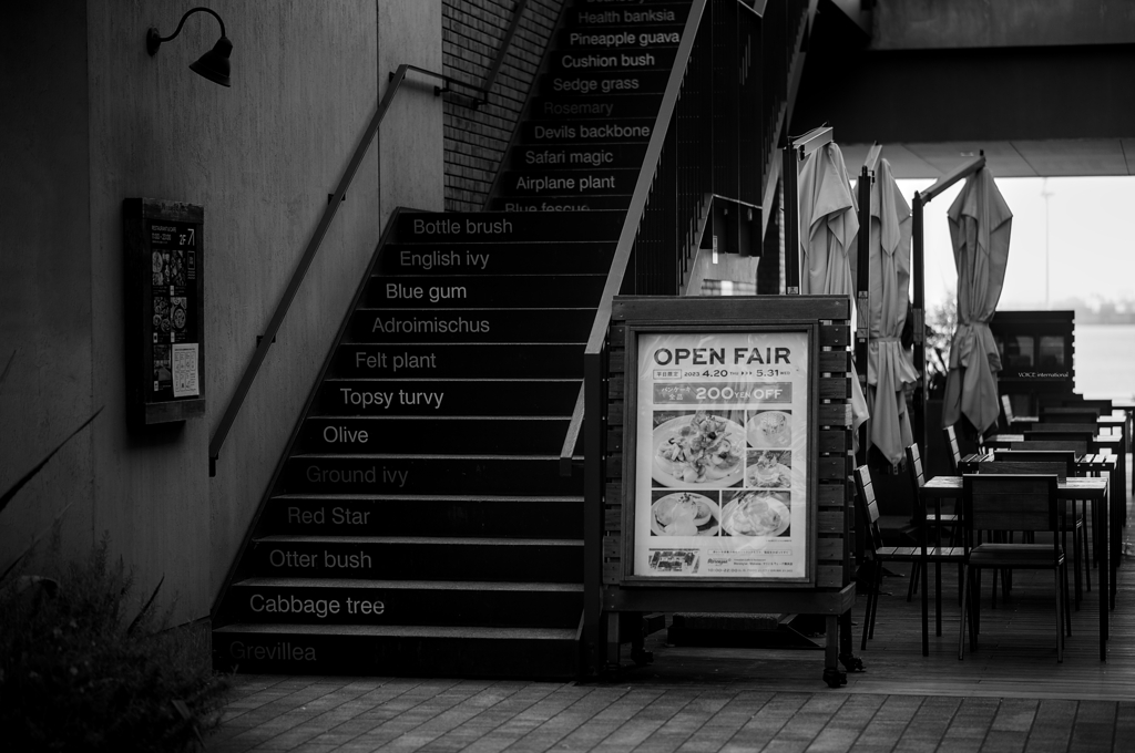 OPEN FAIR