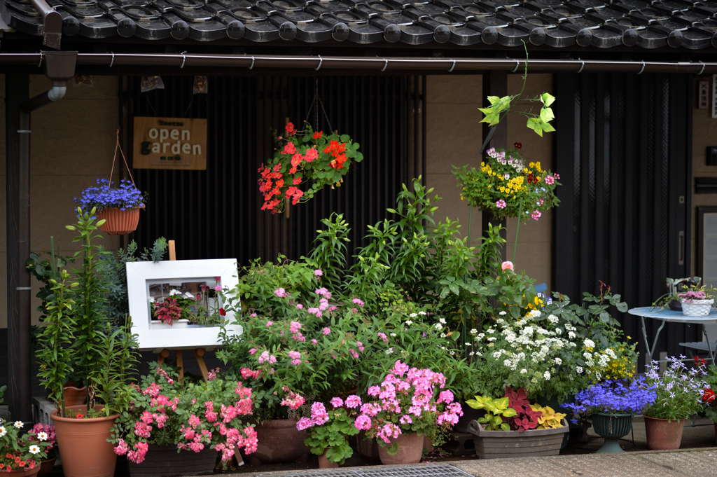 花に囲まれて…