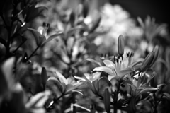 あなた色に染めて…