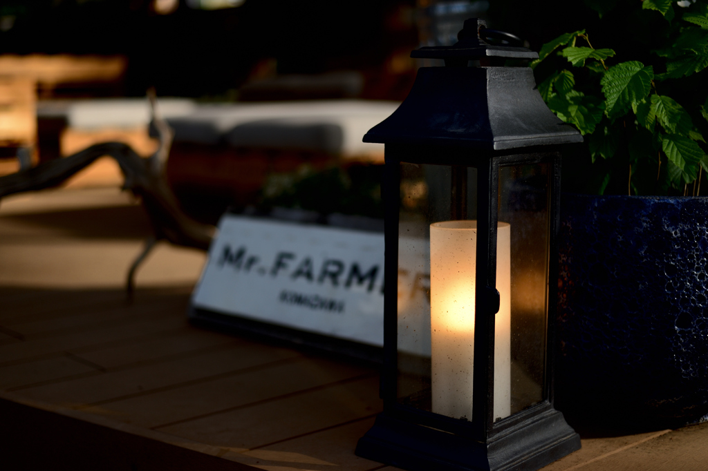 MR.FARMER