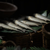 大漁