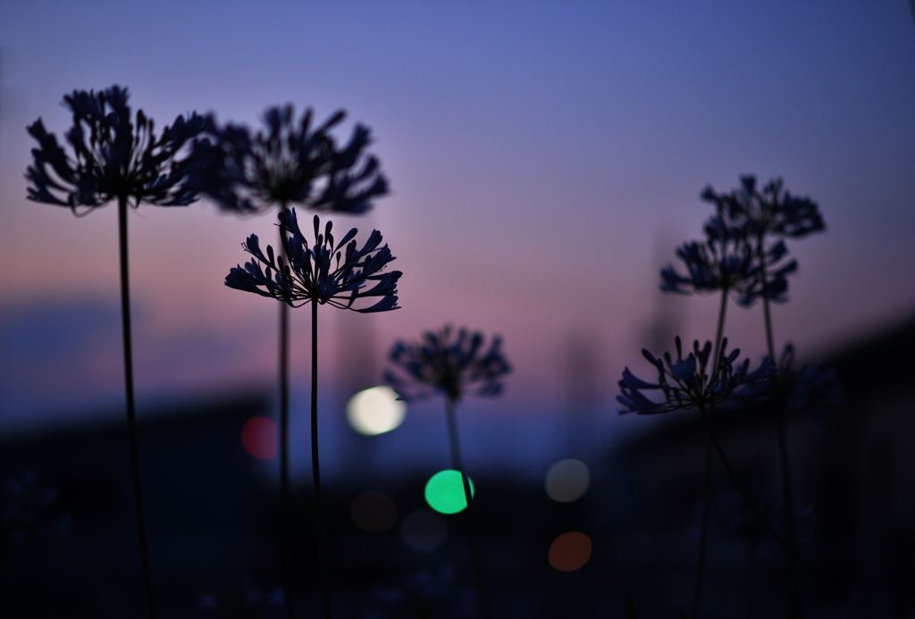 夜明けの頃…