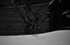 雨に変わる頃