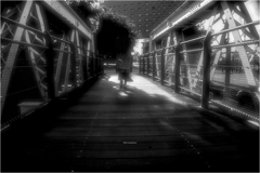 君の進む道