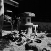 庭園