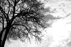 秋空