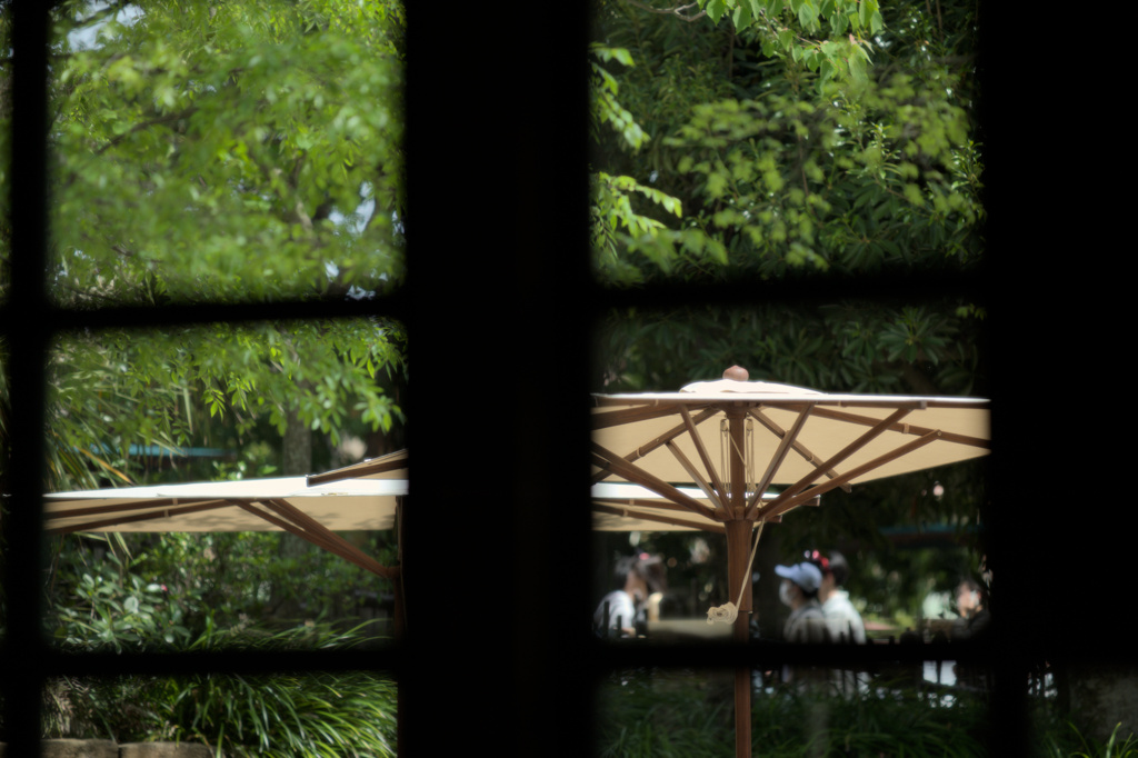 parasol.