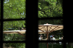 parasol.