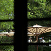 parasol.