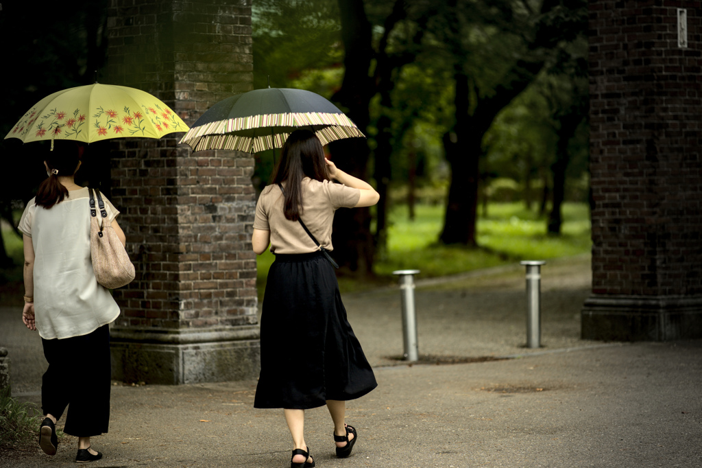 雨の日の公園...