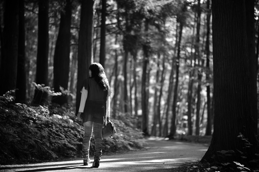 森の散歩道