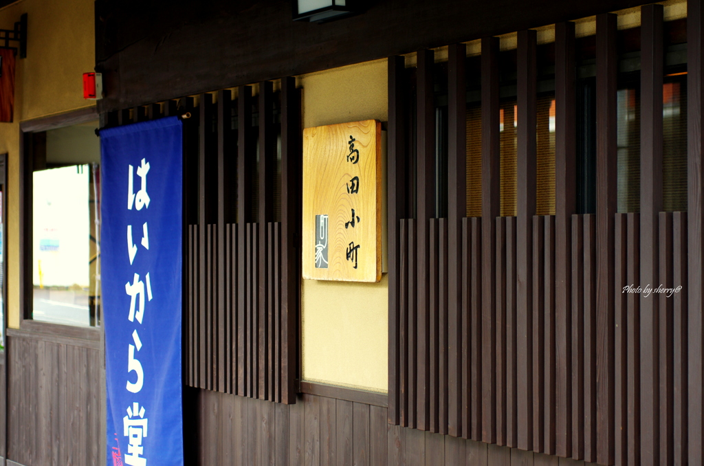 高田小町　
