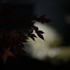 別れの時