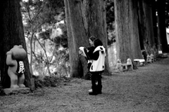 インスタ映えするかな？
