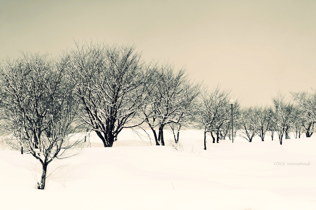 In the snow