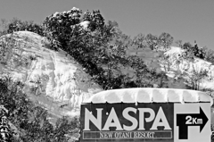 NASPA