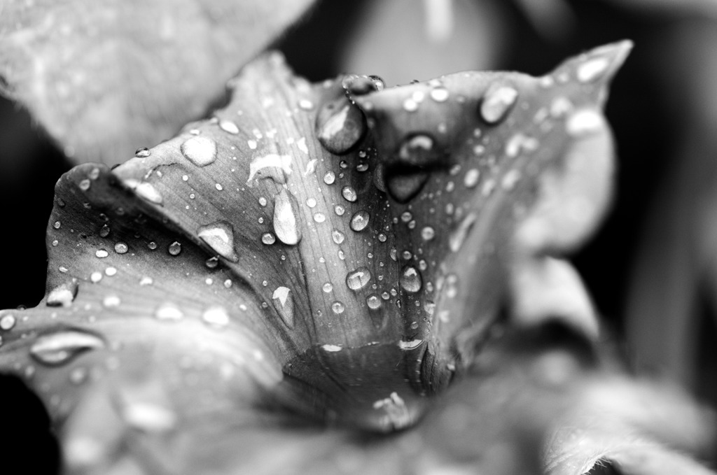 一雨ごとに...