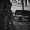 誰もいない公園