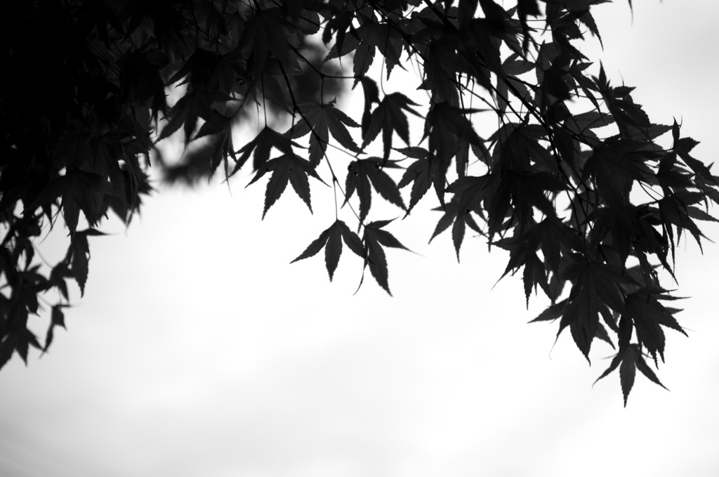 あなた色に染めて…