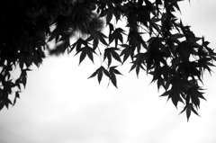 あなた色に染めて…