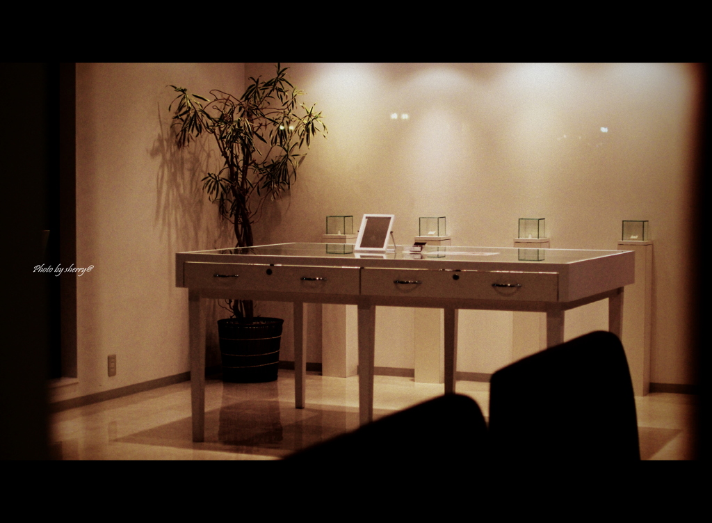 salon