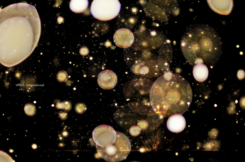 Outer space