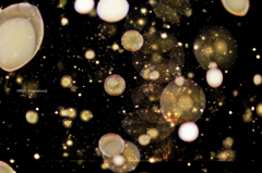 Outer space