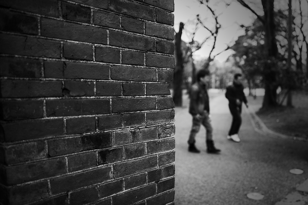 Wall