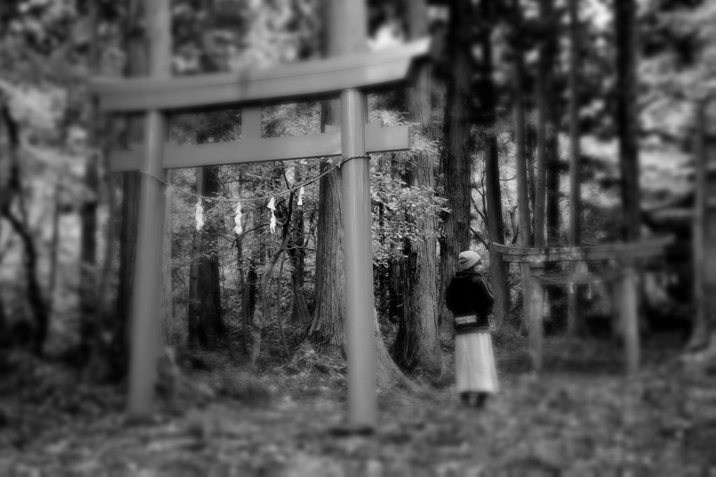 森の中へ