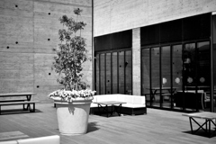 オープンテラス オープンテラス