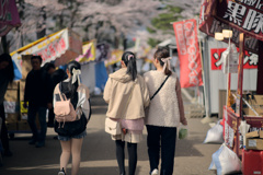 お花見