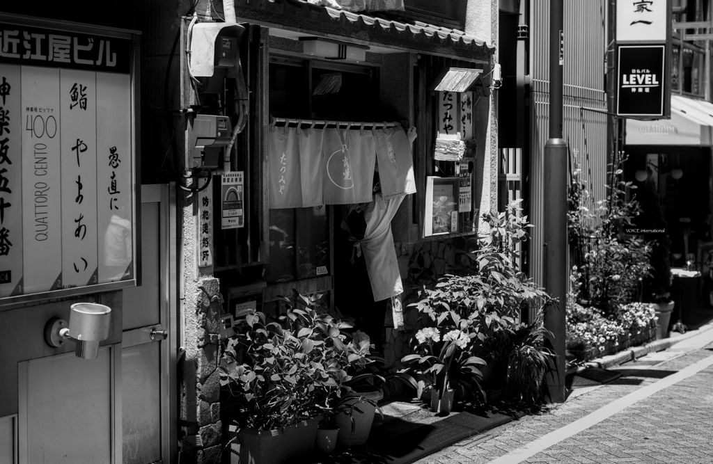 下町のおばちゃん