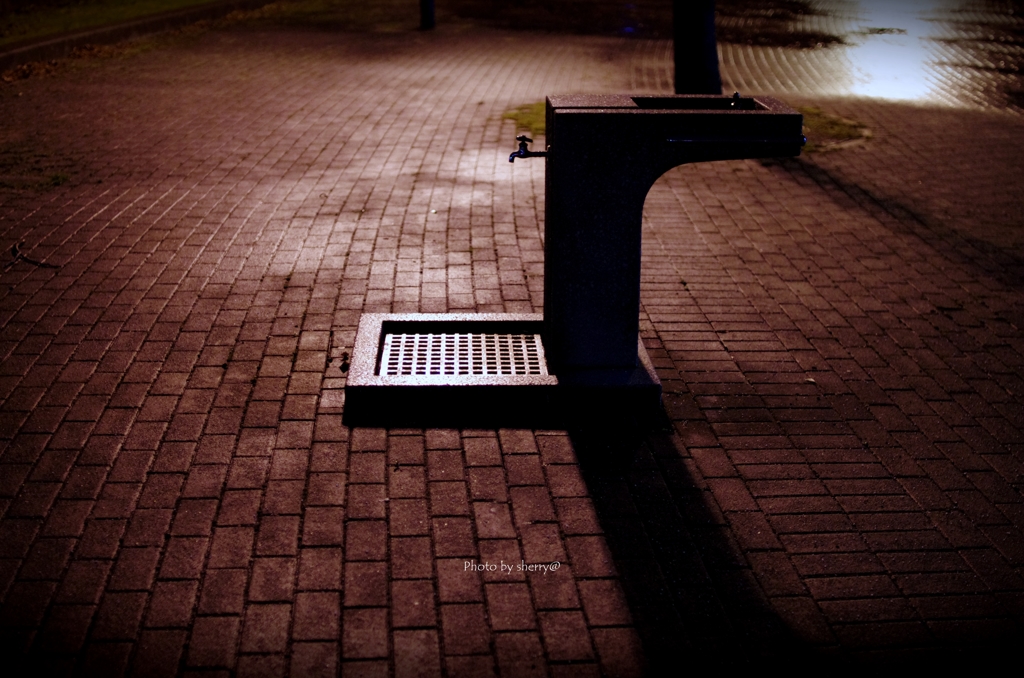 夜の公園
